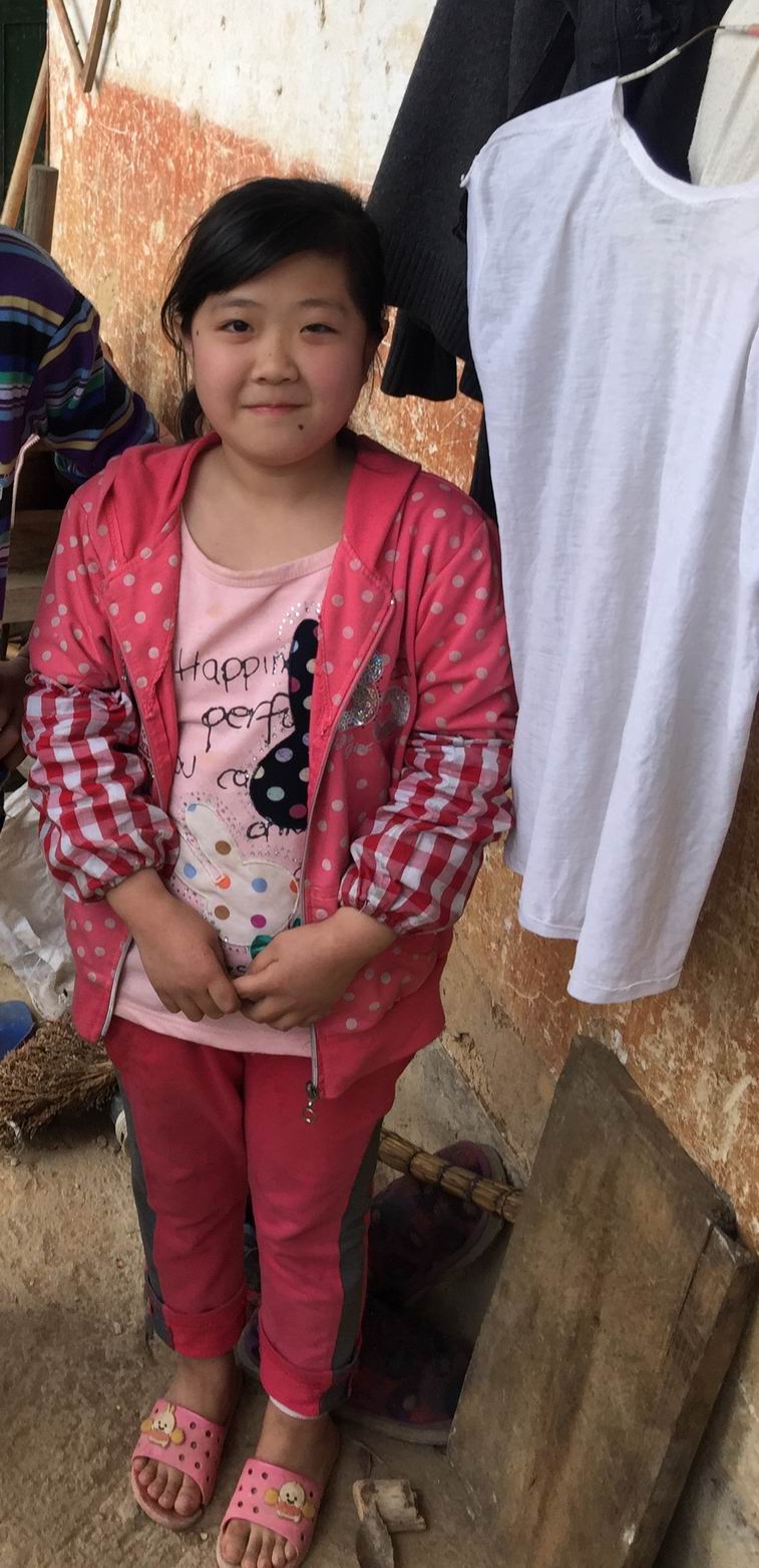 ����(��ѧ�ڸ���)