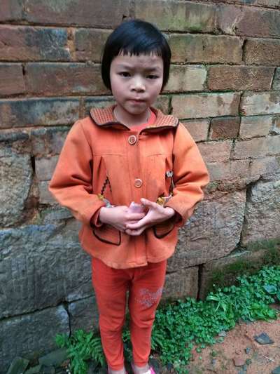 ŷ����÷��2020����ֹ������