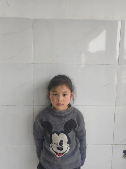 ��ͮ��Ҷ�ӳ���������