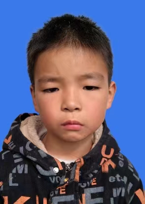 ܼ棨Ҷӳ